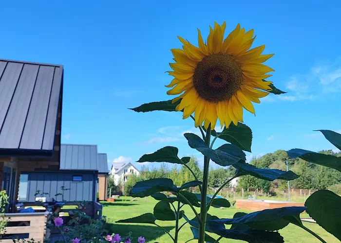 Lato Domki, 200 M Do Morza, Basen,parking Monitorowany,plac Zabaw Tatil Evi Sarbinowo